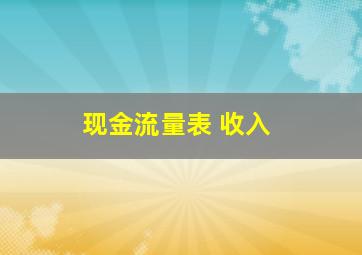 现金流量表 收入